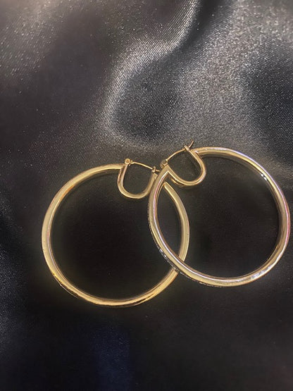 Crystal Hoop Earring